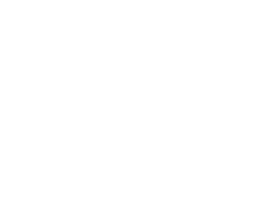 C.S.E STVI-VALBUS